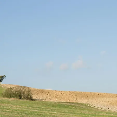Le Selvole - In The Heart Of Beautiful Tuscany *